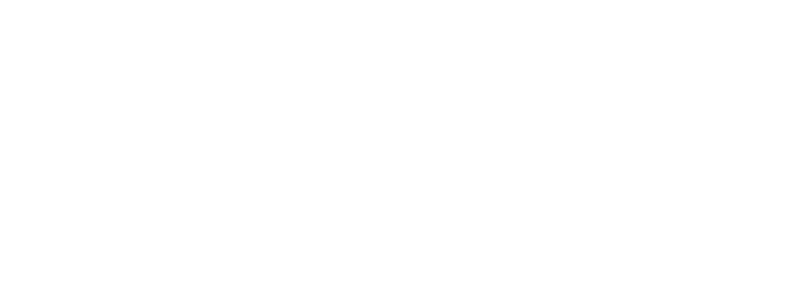 Engion Engineering